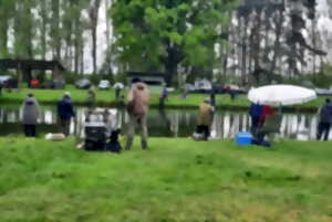 photo Pêche libre