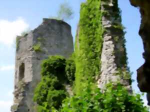 photo Les Rendez-vous Nature - Nature remarquable sur les pas des Comtes