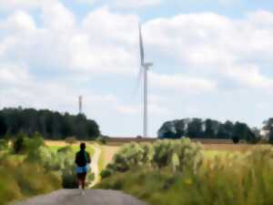 photo Les Rendez-vous Nature - Au pied des Éoliennes