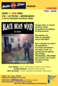 Concert Black Bean Wood