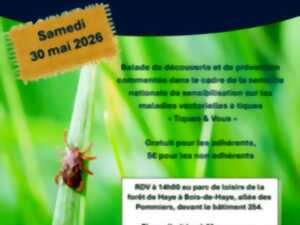 Sortie en forêt pour la prévention des piqüres de tiques - Forêt de Haye