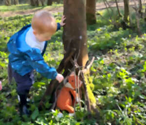 Bois de Roquelaure - Doudou visite la forêt