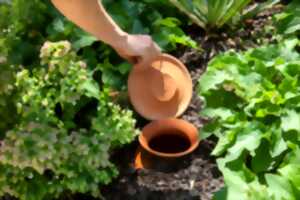 photo RDV Nature - Économiser l’eau au jardin et hydrater vos plantes d’intérieur l’été