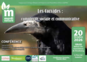 photo Conférence du Mardi Nature : Les Corvidés