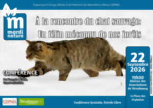 photo Conférence du Mardi Nature : À la rencontre du chat sauvage