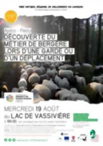photo Apéro-pasto à Vassivière : Découverte du métier de bergère
