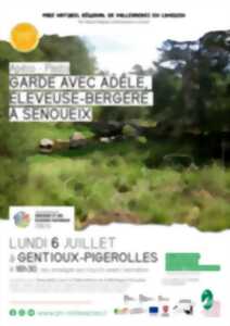 Garde avec Adèle, éleveuse-bergère à Senoueix