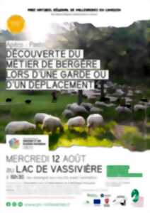 photo Apéro-pasto à Vassivière : Découverte du métier de bergère
