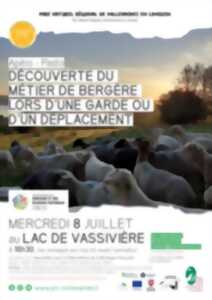 photo Apéro-pasto à Vassivière : Découverte du métier de bergère