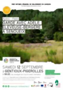 Garde avec Adèle, éleveuse-bergère à Senoueix