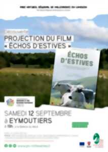 photo Projection du film 