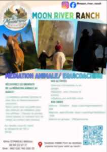 Moon River Ranch - Médiation animale / Equicoaching