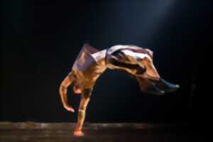 photo Le Temps d'Aimer la Danse 2026 - Compagnie Hervé Koubi - Sol Invictus
