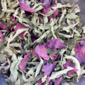 Atelier tisane personnalisée Été