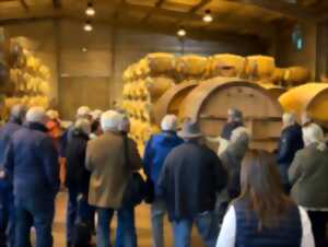 photo LES MARDIS DE CASTELMAURE