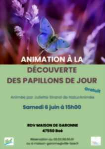 Animation à la découverte des papillons de jour