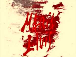 EXPOSITION D’ART CONTEMPORAIN : MARIA LLUIS