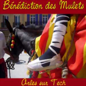 photo BENEDICTION DES MULETS
