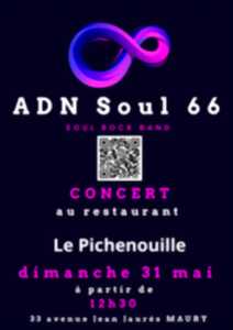 REPAS FETE DES MERES ET ANIMATION MUSICALE - AU PICHENOUILLE - MAURY