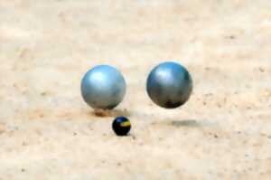 photo TOURNOI DE PÉTANQUE