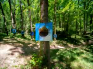 photo EXPOSITION EN FORÊT.