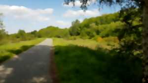 Randonnée  “The pimple” : Bois des Bruyère, Canadiens et Allemands