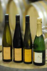 photo Vignoble en scène : 