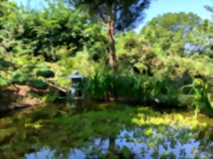 photo Visite du jardin Mil'feuilles