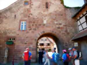 Visites commentées de l'été à Wangen