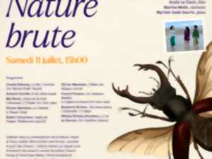 photo Musiques en Vasgovie - Nature brute