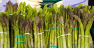 Fête de l'asperge à Raimbeaucourt