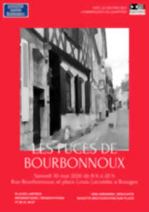 photo Les puces de Bourbonnoux
