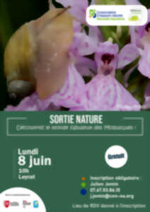 Sortie nature : Découvrez le monde fabuleux des Mollusques !