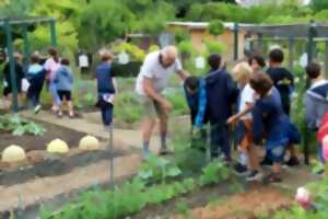 photo Jardins familiaux de la Société d'Horticulture - Rendez-vous aux jardins