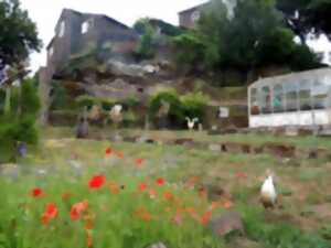 TEMPS DES JARDINS : SKITE SAINTE FOY