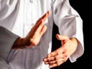 STAGE DE QI GONG, TAI CHI ET TUISHU