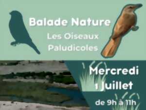 photo BALADES NATURE