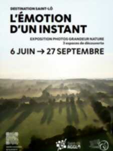 photo Exposition grandeur nature 