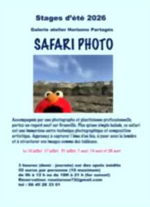photo Stage d'été - Safari photo