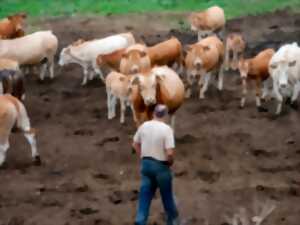 photo FERME DE LA TOUNINE