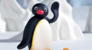 photo LE DOUDOU CLUB D’ANNIVERSAIRE : PINGU