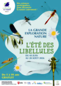 L'été des libellules - Ateliers sciences et nature
