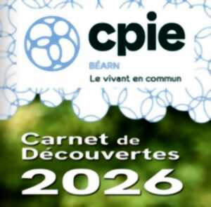 photo Vie sauvage des petites bêtes - Sortie CPIE