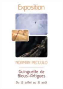 photo Vernissage d'exposition : Norman Peccolo - photographe sauvage