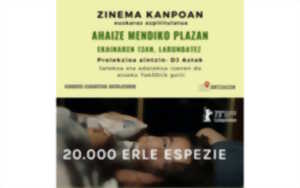 photo Zinema Kapoan : cinéma en plein air en basque