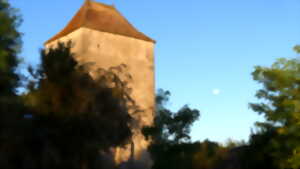 photo Atelier : 