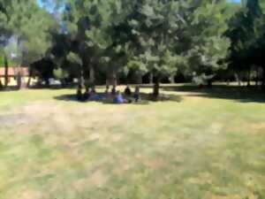 photo Yoga dans le jardin
