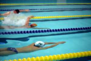 photo Compétition Interclubs de natation