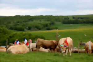 photo CONFÉRENCE - LA TRANSHUMANCE SUR LES HAUTES TERRES DU GÉVAUDAN