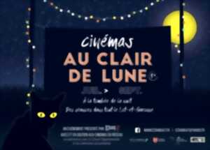 Soirée cinéma au clair de lune